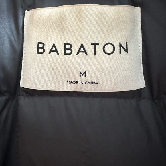 Aritzia Babaton “Chamonix parka” - Picture 5 of 12